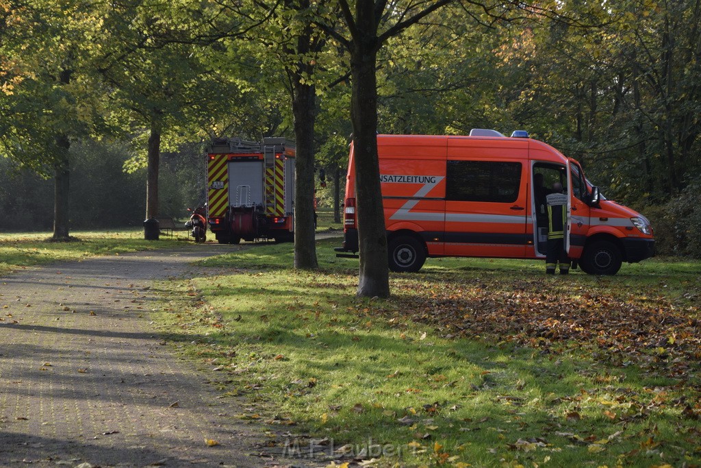 Feuer 1 brannten 3 Lauben Koeln Fuehlingen Kriegerhofstr P139.JPG - Miklos Laubert